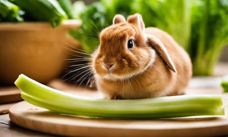Can Bunnies Eat Celery? A Detailed Look