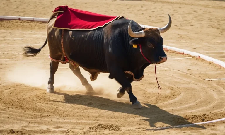 Animals Humans Can Fight And Win Against