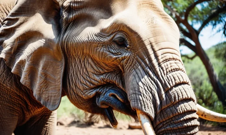 Are Elephants Dinosaurs? A Close Examination