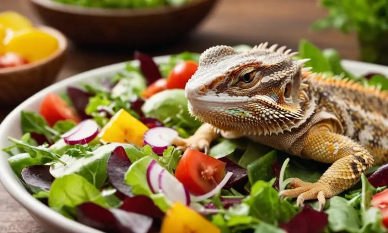 Can Bearded Dragons Eat Spring Mix? A Detailed Guide