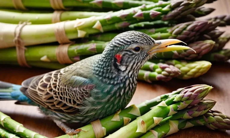 Can Birds Eat Asparagus