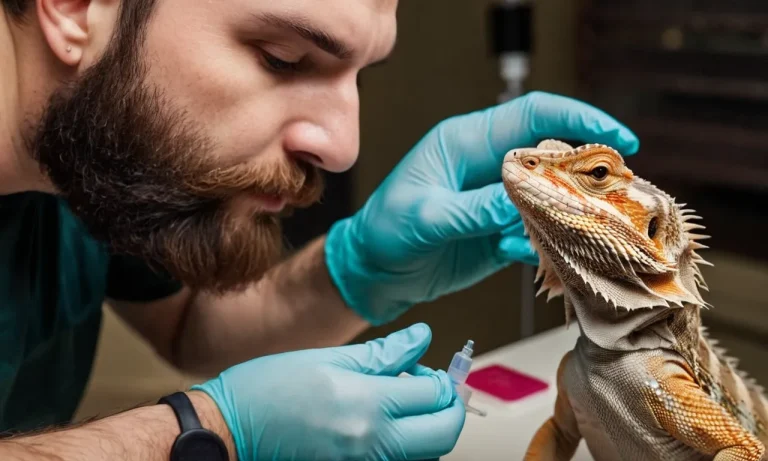 Do Bearded Dragons Need Vaccinations?