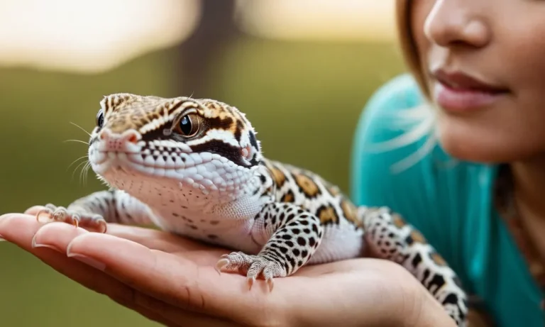 Do Leopard Geckos Bond With Their Owners?