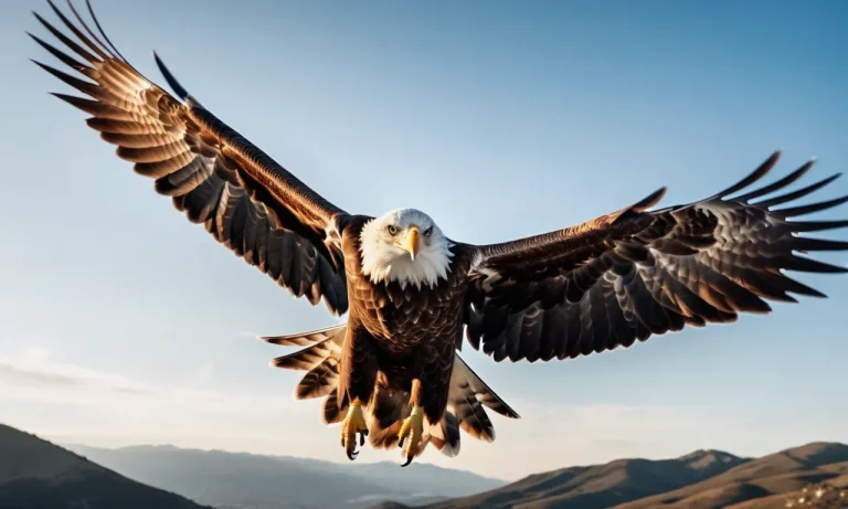The Greek God Of Birds: A Deep Dive Into The Patron Deity Of Winged Creatures