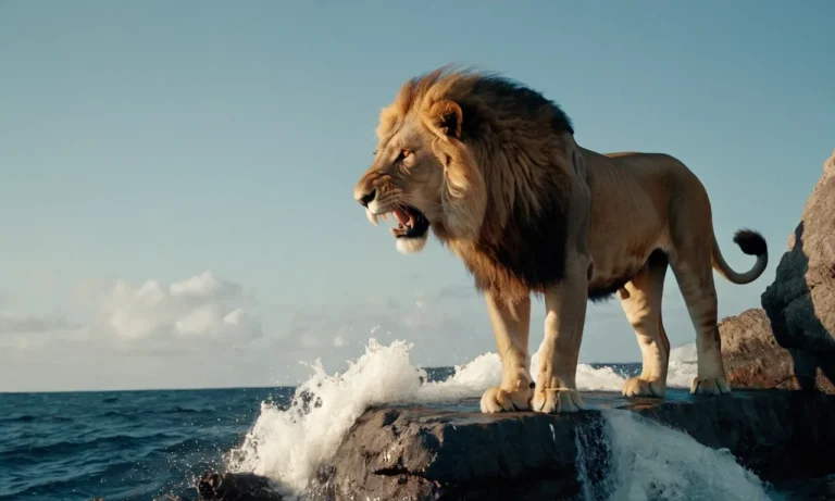 Lion Vs Shark: Who Would Win In A Fight?