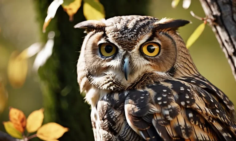 One Eyed Animals: A Closer Look At Nature’S Uniquely Adapted Creatures