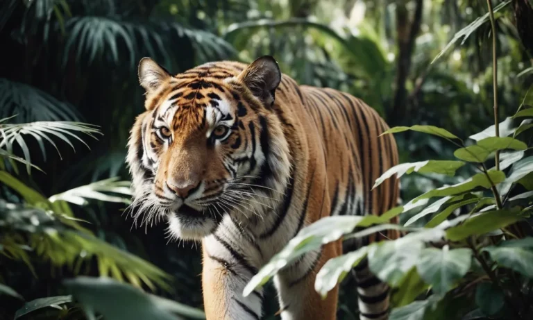 The World’S Most Silent But Deadly Animals