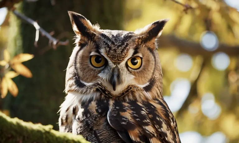 What Eats Cats? A Detailed Look At The Many Predators Of Felines