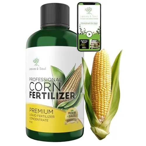 Leaves and Soul Liquid Corn Fertilizer 8 oz bottle