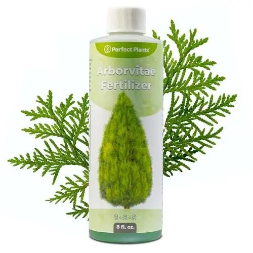Perfect Plants Liquid Arborvitae Fertilizer small bottle
